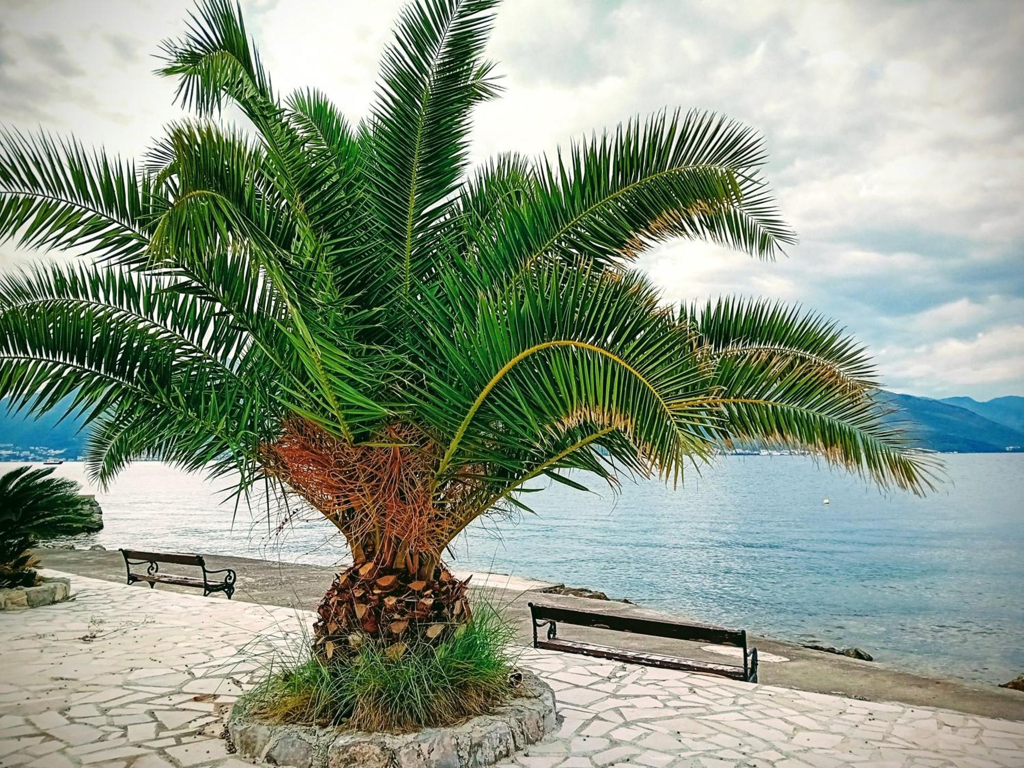 Studio Happy Montenegro Krasići Kültér fotó